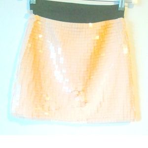 Zara Trafaluc Sequence Mini Skirt